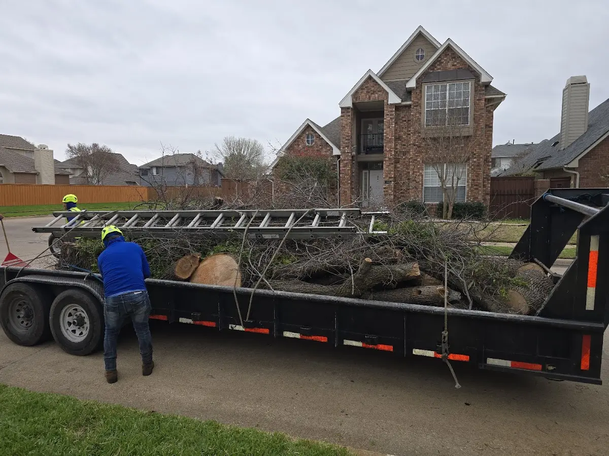 Expert Crown Reduction with proper safety equipment in Laurel Springs
